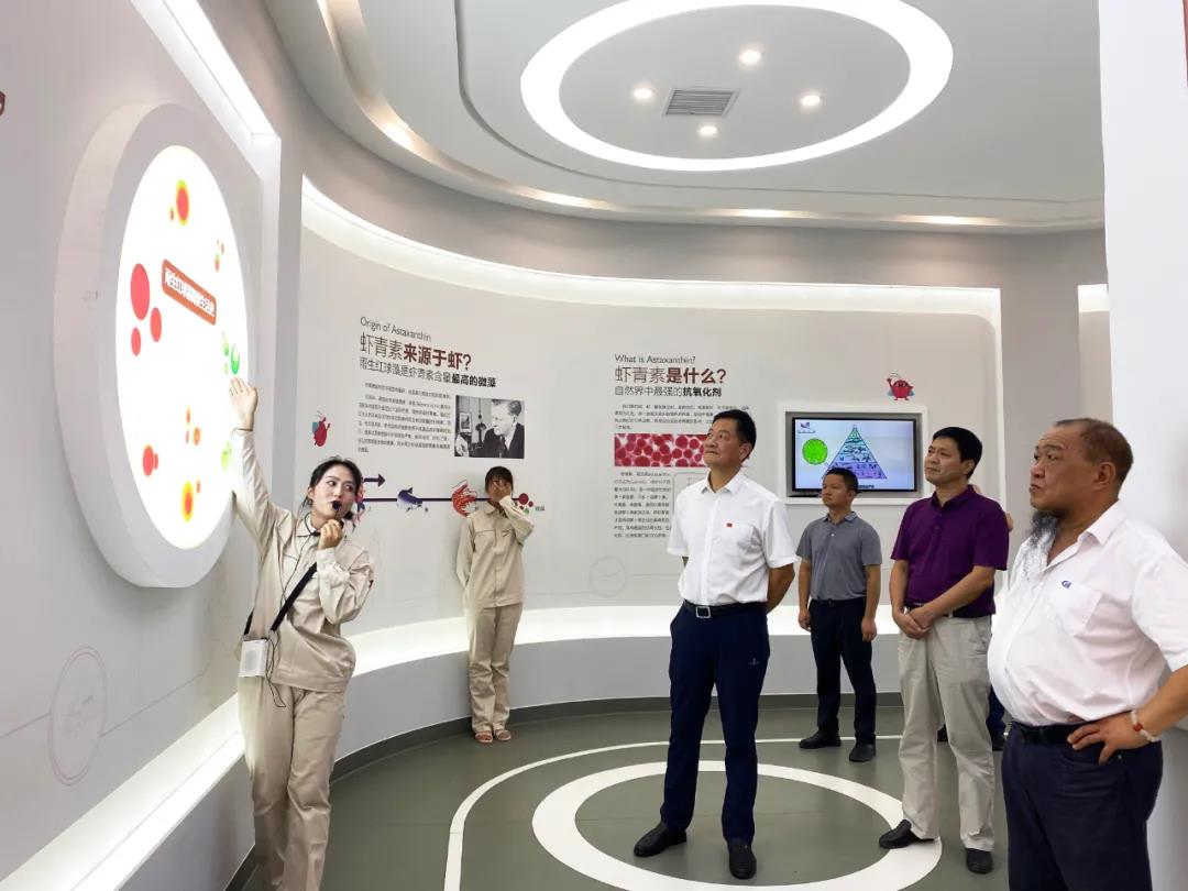 艾詩(shī)特蝦青素 艾詩(shī)特蝦青素