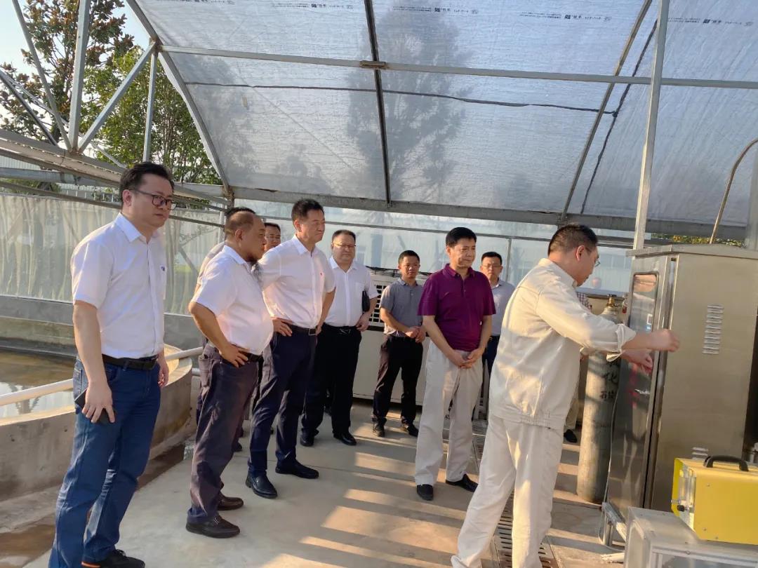 艾詩(shī)特蝦青素 艾詩(shī)特蝦青素