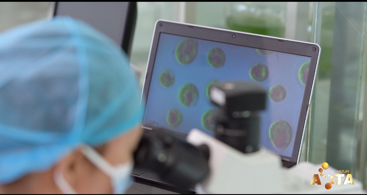 艾詩(shī)特蝦青素 艾詩(shī)特蝦青素