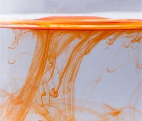 艾詩(shī)特蝦青素