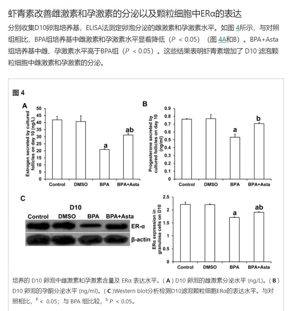 艾詩(shī)特蝦青素 艾詩(shī)特蝦青素