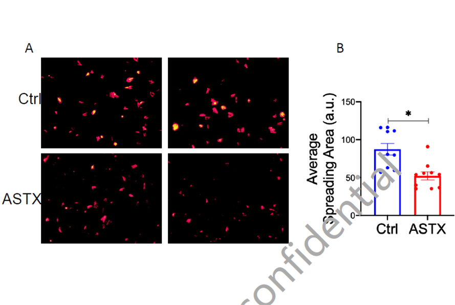 艾詩特蝦青素 艾詩特蝦青素