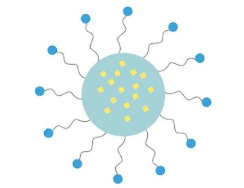 艾詩(shī)特蝦青素