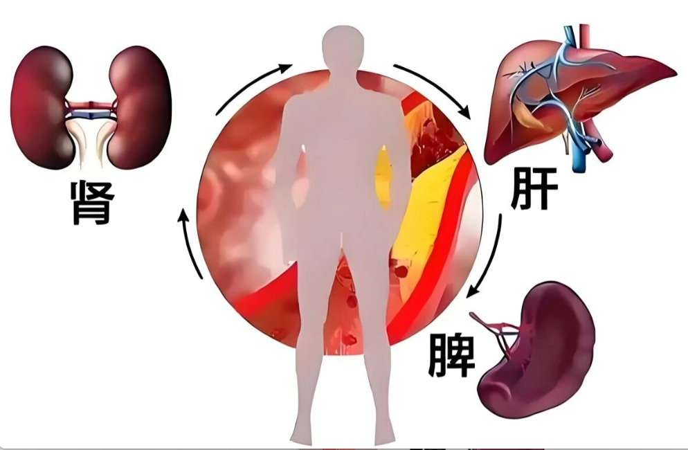 艾詩特蝦青素 艾詩特蝦青素