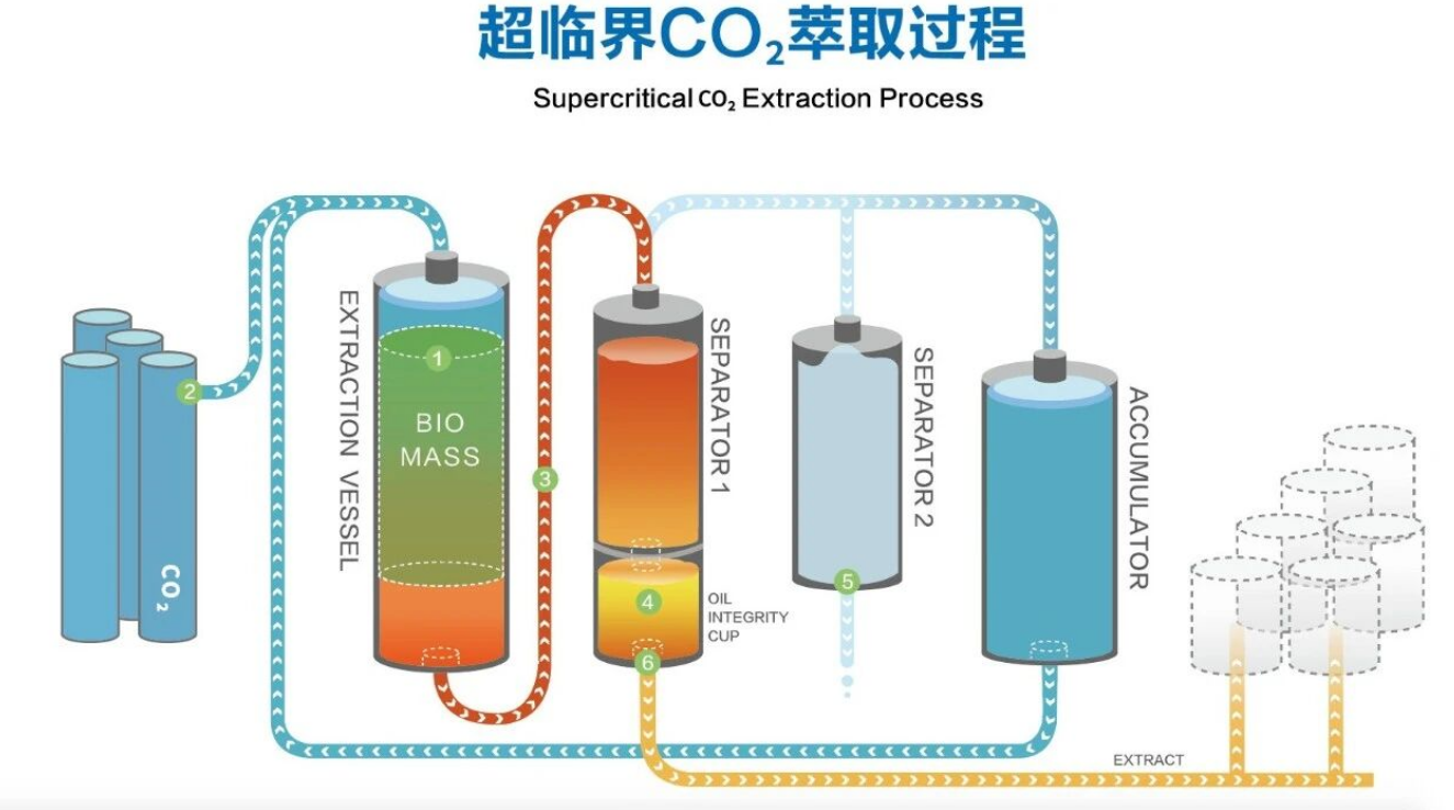 艾詩(shī)特蝦青素 艾詩(shī)特蝦青素