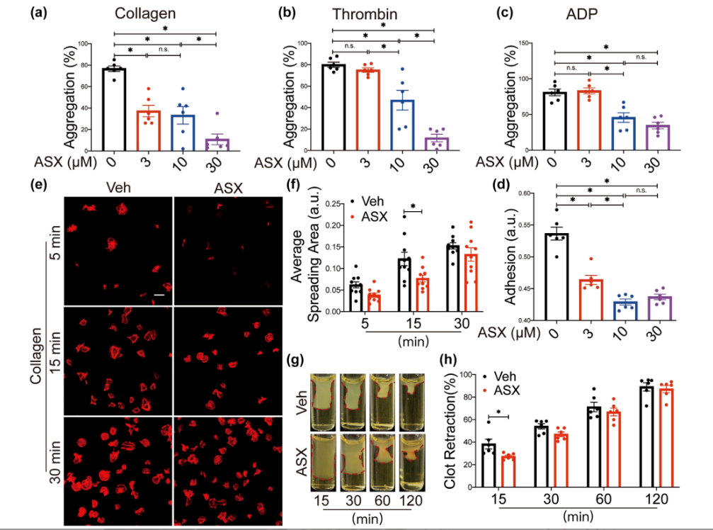 艾詩特蝦青素 艾詩特蝦青素
