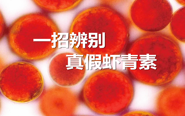 【實驗】手把手教你，一招辨別真假蝦青素！