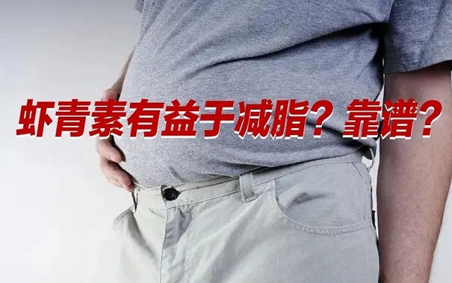 【冷知識】肥胖居然是一種炎癥！蝦青素有益于“消炎”？