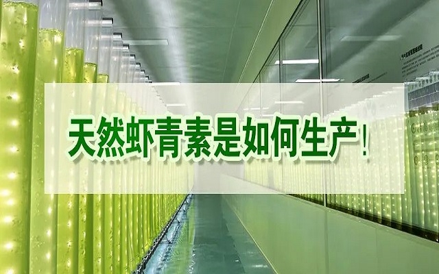 天然蝦青素是如何生產(chǎn)？走進(jìn)源頭工廠(chǎng)看一看！